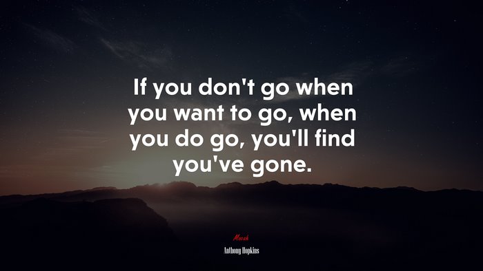 If you don’t go when you want to go, when you do go, you’ll find you’ve gone. | Anthony Hopkins quote