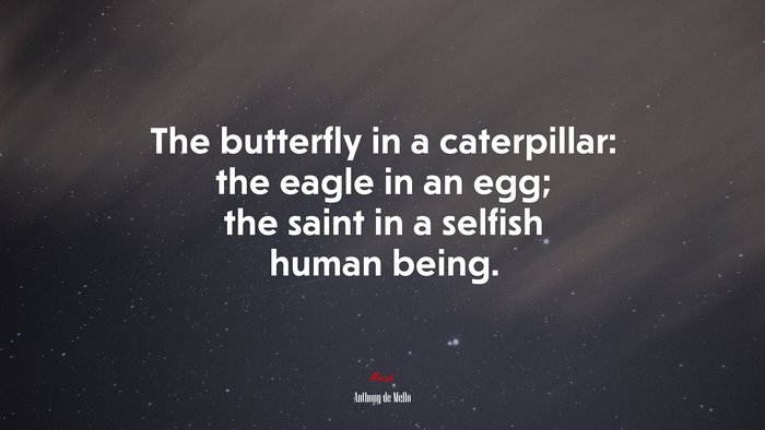 The butterfly in a caterpillar: the eagle in an egg; the saint in a selfish human being. | Anthony de Mello quote