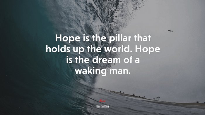 Hope is the pillar that holds up the world. Hope is the dream of a waking man. | Pliny the Elder quote