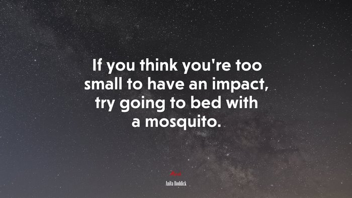 If you think you’re too small to have an impact, try going to bed with a mosquito. | Anita Roddick quote