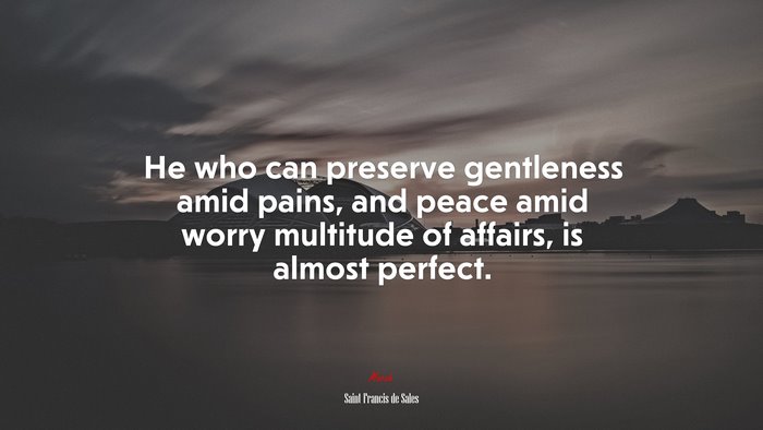 He who can preserve gentleness amid pains, and peace amid worry multitude of affairs, is almost perfect. | Saint Francis de Sales quote