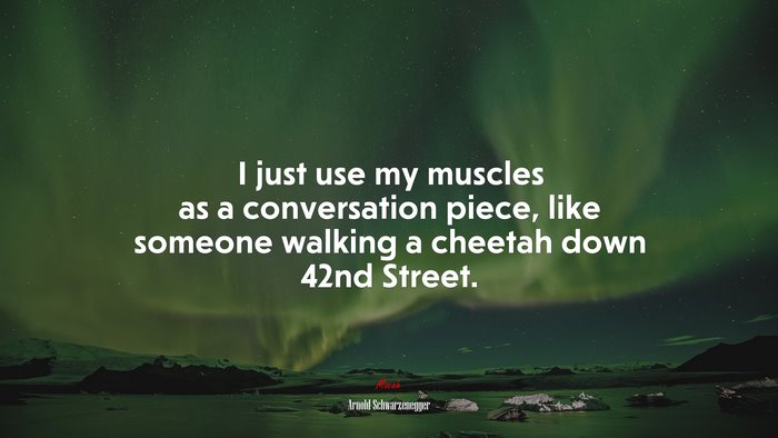 I just use my muscles as a conversation piece, like someone walking a cheetah down 42nd Street. | Arnold Schwarzenegger quote