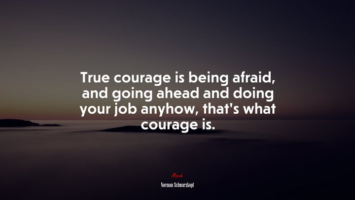 True courage is being afraid, and going ahead and doing your job anyhow, that’s what courage is. | Norman Schwarzkopf quote