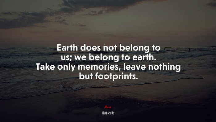 Earth does not belong to us; we belong to earth. Take only memories, leave nothing but footprints. | Chief Seattle quote