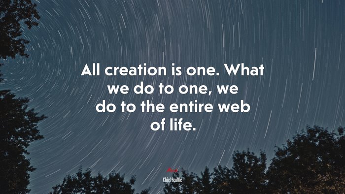 All creation is one. What we do to one, we do to the entire web of life. | Chief Seattle quote