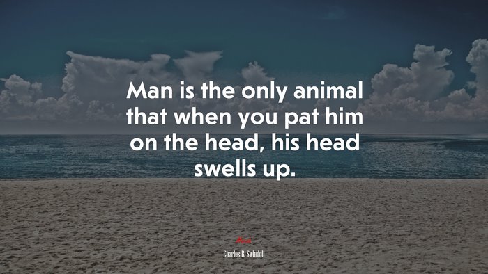 Man is the only animal that when you pat him on the head, his head swells up. | Charles R. Swindoll quote