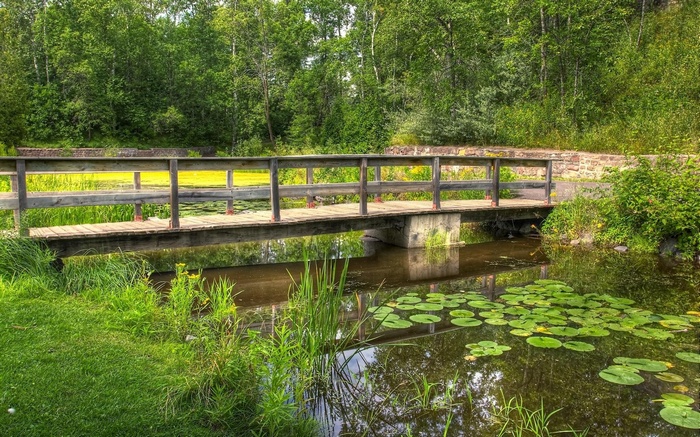 Wooden bridge over a pond with lily pads