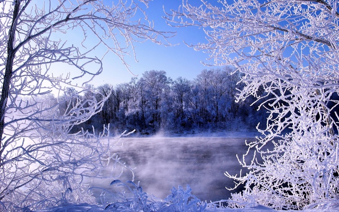 Frost-covered trees by a misty river