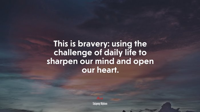 This is bravery: using the challenge of daily life to sharpen our mind and open our heart. | Sakyong Mipham quote