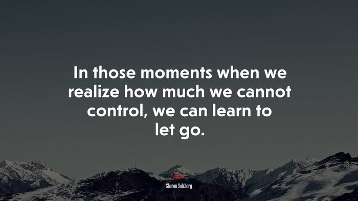 In those moments when we realize how much we cannot control, we can learn to let go. | Sharon Salzberg quote
