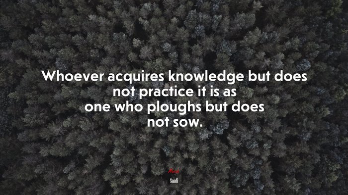 Whoever acquires knowledge but does not practice it is as one who ploughs but does not sow. | Saadi quote