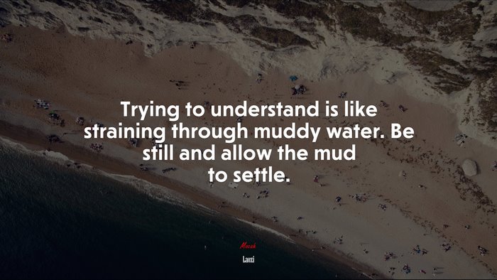Trying to understand is like straining through muddy water. Be still and allow the mud to settle. | Laozi quote