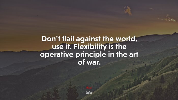 Don’t flail against the world, use it. Flexibility is the operative principle in the art of war. | Sun Tzu quote