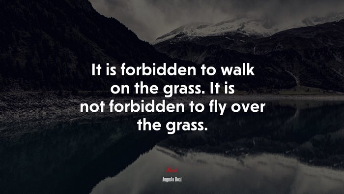 It is forbidden to walk on the grass. It is not forbidden to fly over the grass. | Augusto Boal quote