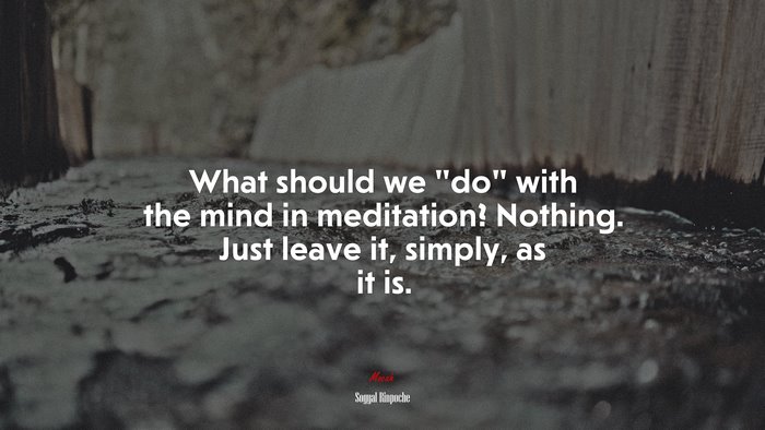 What should we “do” with the mind in meditation? Nothing. Just leave it, simply, as it is. | Sogyal Rinpoche quote