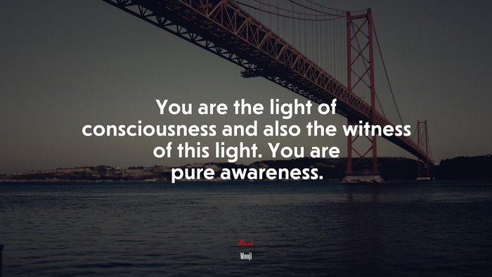 You are the light of consciousness and also the witness of this light. You are pure awareness. | Mooji quote