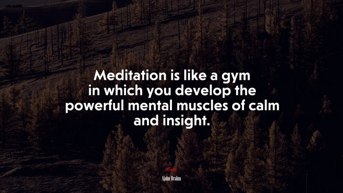 Meditation is like a gym in which you develop the powerful mental muscles of calm and insight. | Ajahn Brahm quote