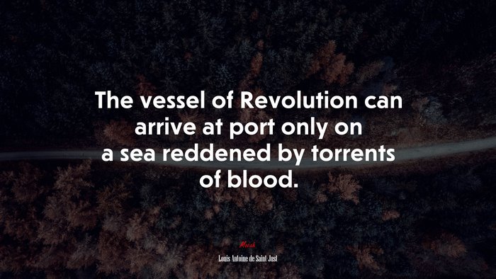 The vessel of Revolution can arrive at port only on a sea reddened by torrents of blood. | Louis Antoine de Saint-Just quote