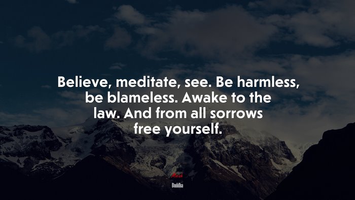 Believe, meditate, see. Be harmless, be blameless. Awake to the law. And from all sorrows free yourself. | Buddha quote