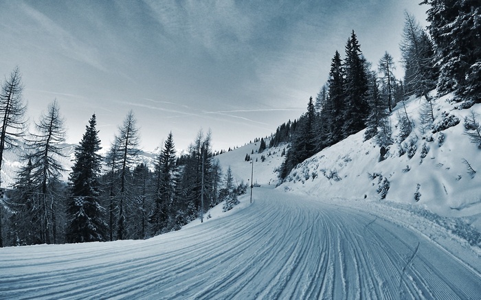 Snowy mountain road with pine trees