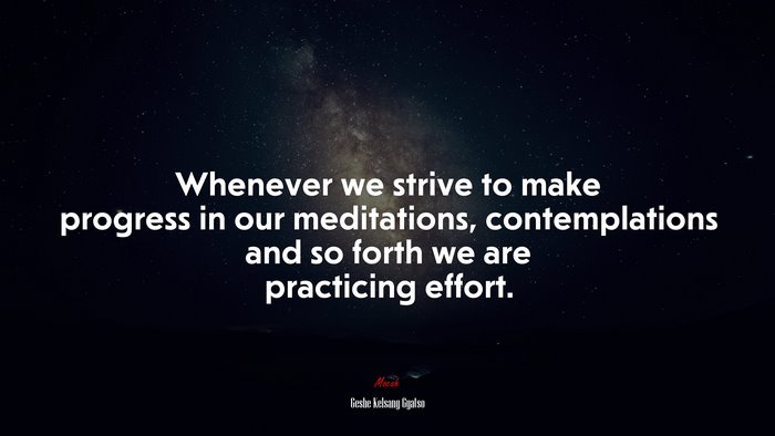 Whenever we strive to make progress in our meditations, contemplations and so forth we are practicing effort. | Geshe Kelsang Gyatso quote