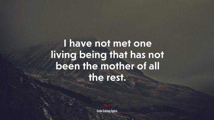 I have not met one living being that has not been the mother of all the rest. | Geshe Kelsang Gyatso quote