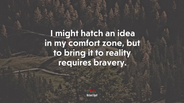 I might hatch an idea in my comfort zone, but to bring it to reality requires bravery. | Michael Hyatt quote
