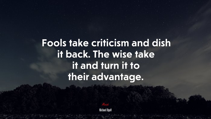 Fools take criticism and dish it back. The wise take it and turn it to their advantage. | Michael Hyatt quote
