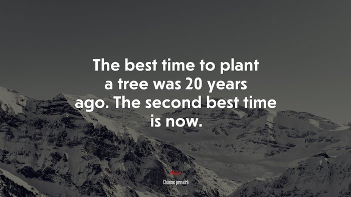 The best time to plant a tree was 20 years ago. The second best time is now. | Chinese proverb quote