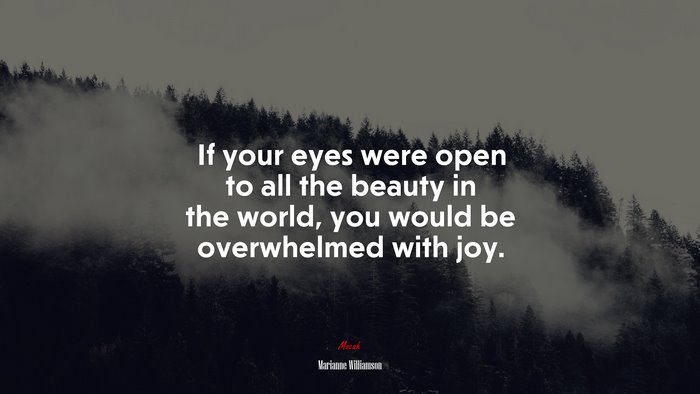 If your eyes were open to all the beauty in the world, you would be overwhelmed with joy. | Marianne Williamson quote