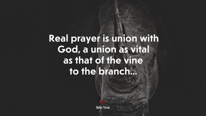 Real prayer is union with God, a union as vital as that of the vine to the branch... | Mother Teresa quote