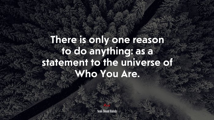 There is only one reason to do anything: as a statement to the universe of Who You Are. | Neale Donald Walsch quote