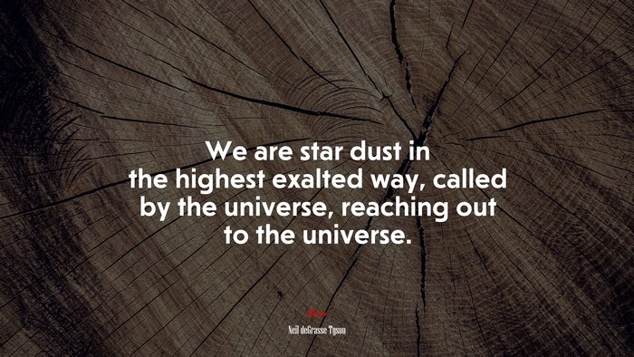 We are star dust in the highest exalted way, called by the universe, reaching out to the universe. | Neil deGrasse Tyson quote