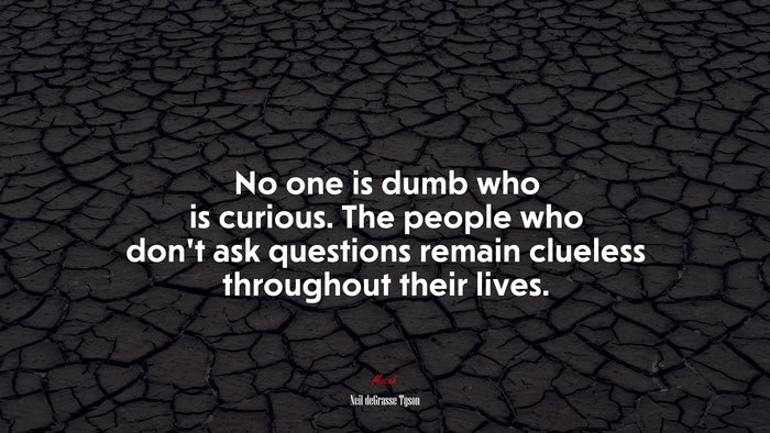 No one is dumb who is curious. The people who don’t ask questions remain clueless throughout their lives. | Neil deGrasse Tyson quote