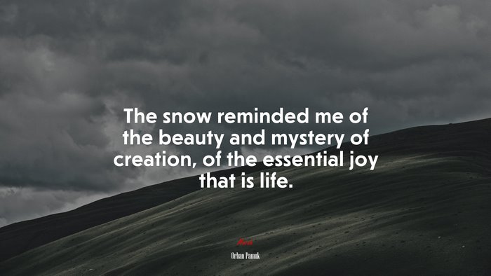 The snow reminded me of the beauty and mystery of creation, of the essential joy that is life. | Orhan Pamuk quote