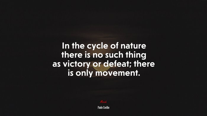 In the cycle of nature there is no such thing as victory or defeat; there is only movement. | Paulo Coelho quote