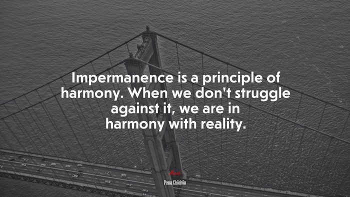 Impermanence is a principle of harmony. When we don’t struggle against it, we are in harmony with reality. | Pema Chödrön quote