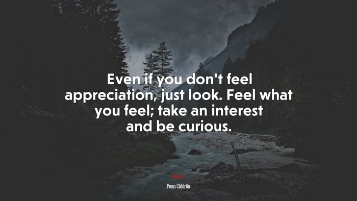 Even if you don’t feel appreciation, just look. Feel what you feel; take an interest and be curious. | Pema Chödrön quote
