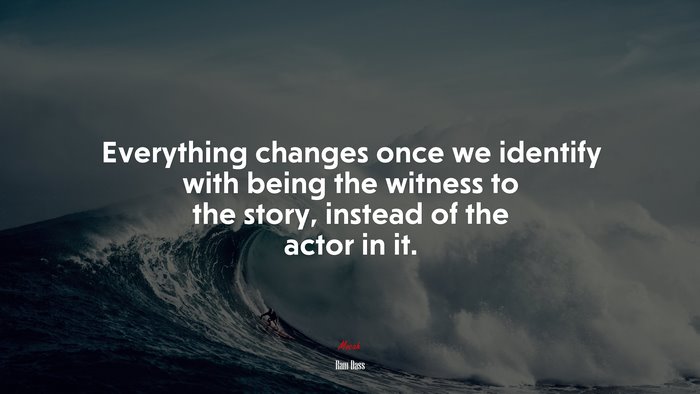 Everything changes once we identify with being the witness to the story, instead of the actor in it. | Ram Dass quote