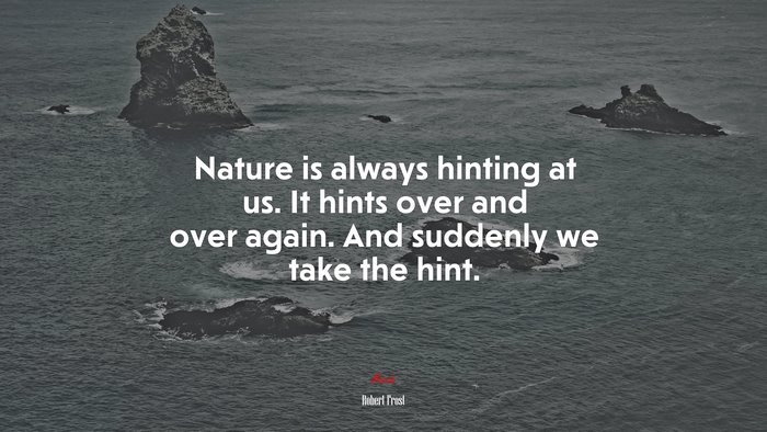 Nature is always hinting at us. It hints over and over again. And suddenly we take the hint. | Robert Frost quote