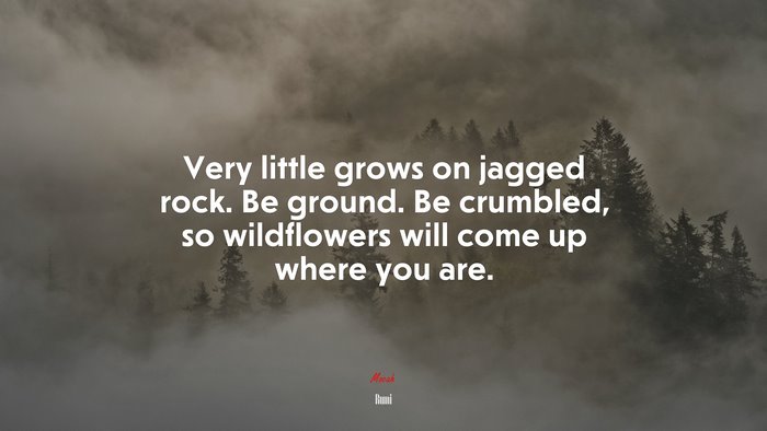 Very little grows on jagged rock. Be ground. Be crumbled, so wildflowers will come up where you are. | Rumi quote