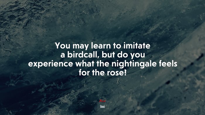 You may learn to imitate a birdcall, but do you experience what the nightingale feels for the rose? | Rumi quote