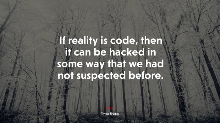 If reality is code, then it can be hacked in some way that we had not suspected before. | Terence McKenna quote