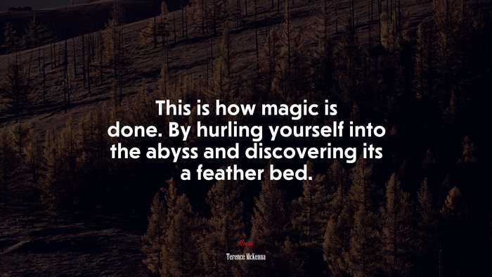 This is how magic is done. By hurling yourself into the abyss and discovering its a feather bed. | Terence McKenna quote