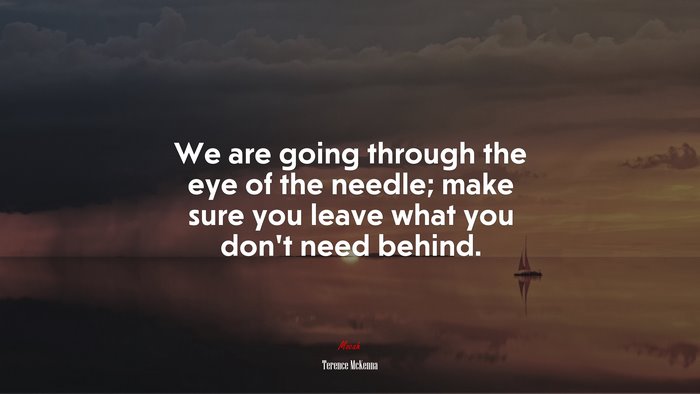 We are going through the eye of the needle; make sure you leave what you don’t need behind. | Terence McKenna quote