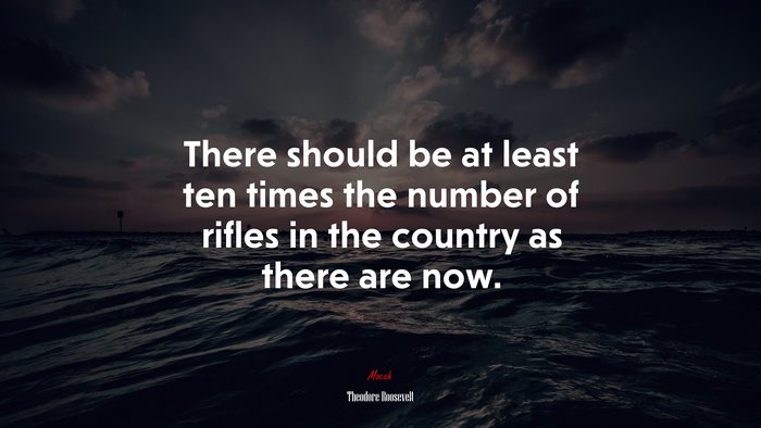 There should be at least ten times the number of rifles in the country as there are now. | Theodore Roosevelt quote