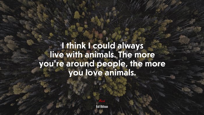 I think I could always live with animals. The more you’re around people, the more you love animals. | Walt Whitman quote