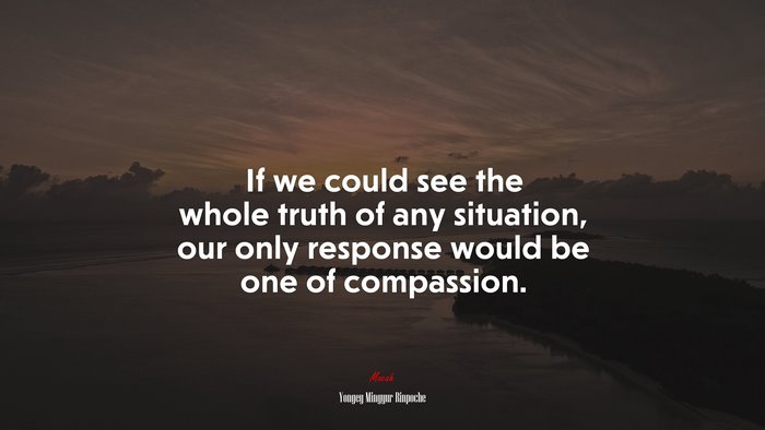 If we could see the whole truth of any situation, our only response would be one of compassion. | Yongey Mingyur Rinpoche quote