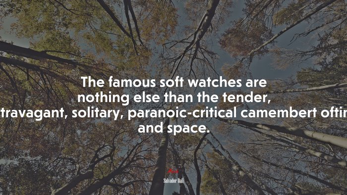 The famous soft watches are nothing else than the tender, extravagant, solitary, paranoic-critical camembert oftime and space. | Salvador Dalí quote