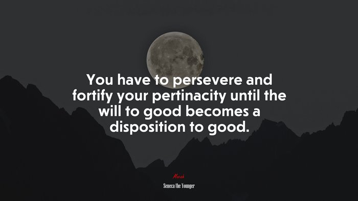 You have to persevere and fortify your pertinacity until the will to good becomes a disposition to good. | Seneca the Younger quote